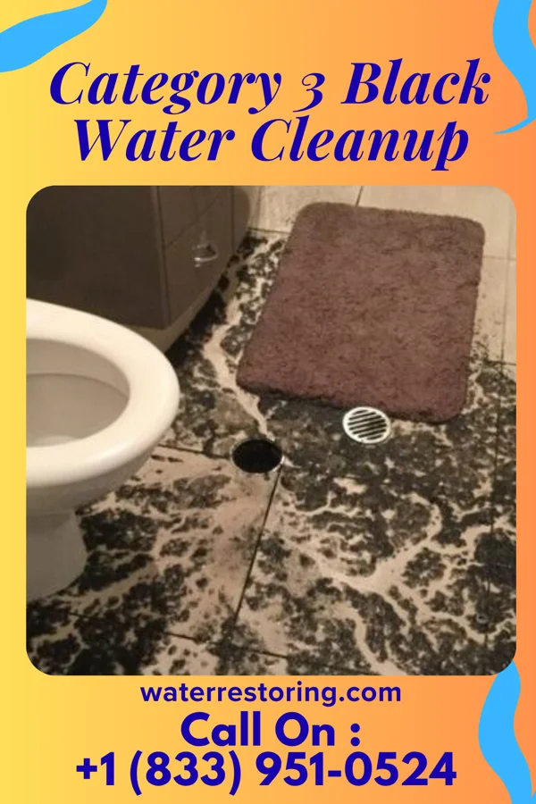 Category 3 Black Water Cleanup in Vevay, IN