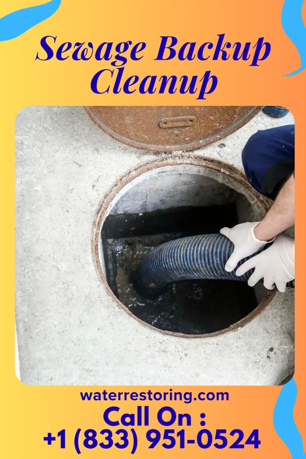 Sewage Backup Cleanup in Vevay, IN