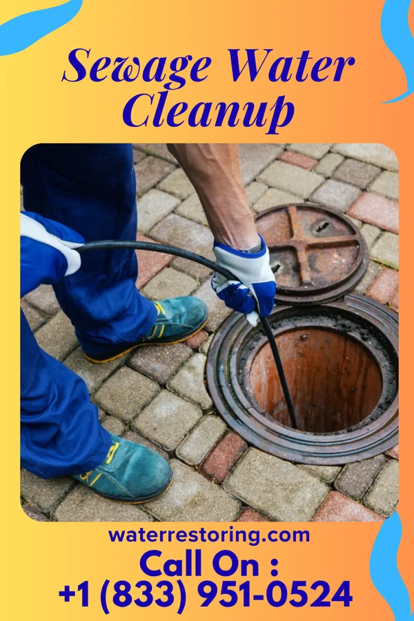 Sewage Water Cleanup in Vevay, IN
